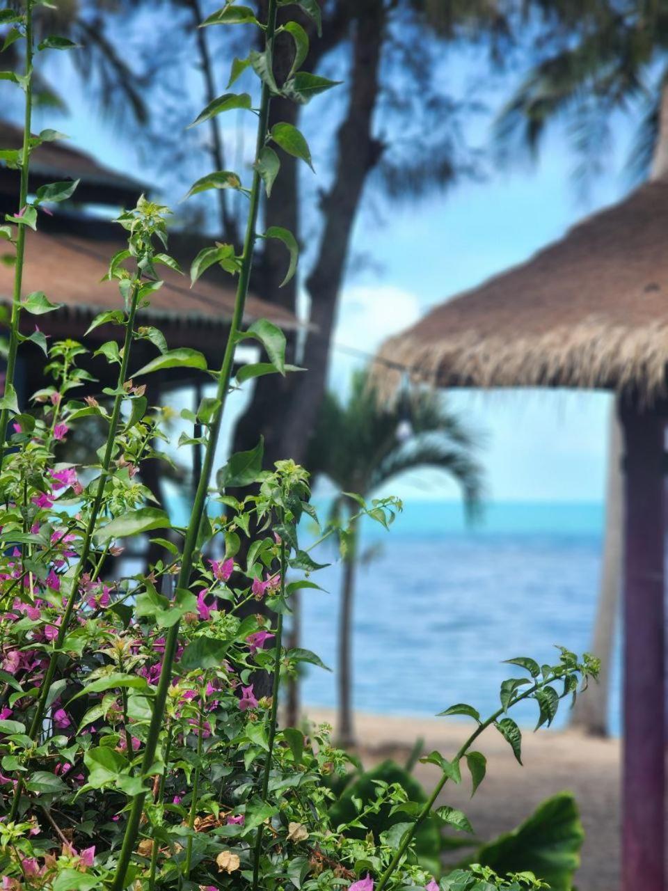 A Little Bungalows By Beach Amphoe Koksamui Zewnętrze zdjęcie